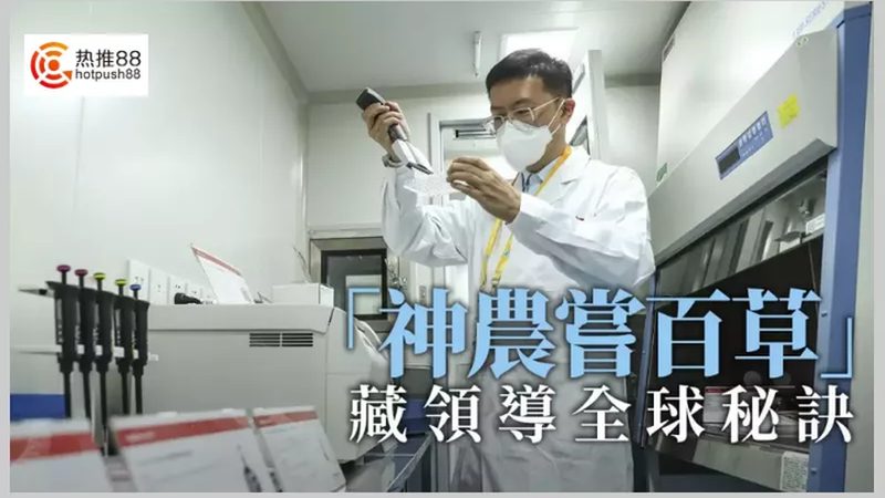 全基因组测序：揭秘基因奥秘的“侦探”**