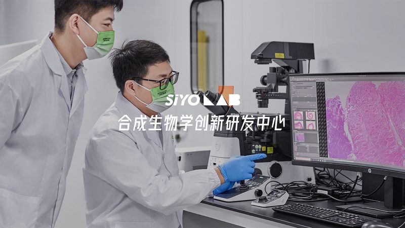 淀粉加工酶制剂：如何精准选型，提升加工效率**