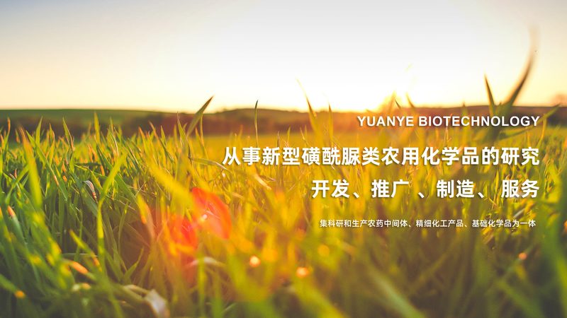 PCR检测，医院医保报销情况详解
