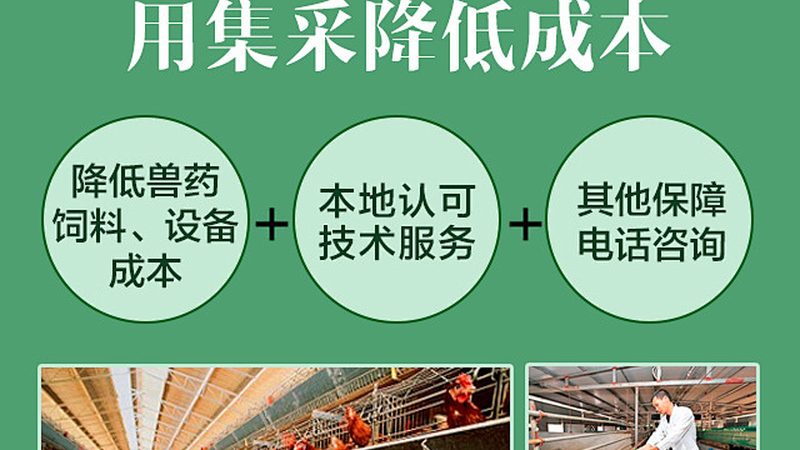 引物合成修饰：如何精准选择，助力科研高效