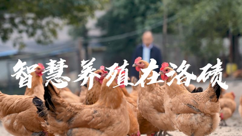 北京实验室塑料耗材哪家好