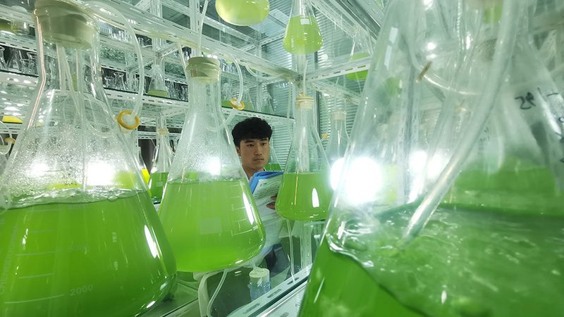 一支加样器，先看它稳不稳